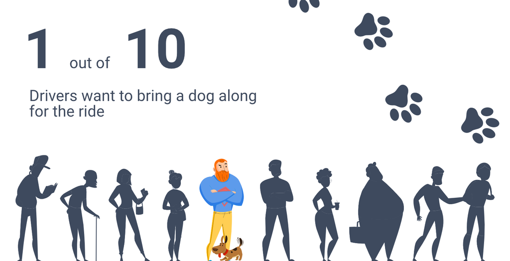 Dog infographic driver statistics