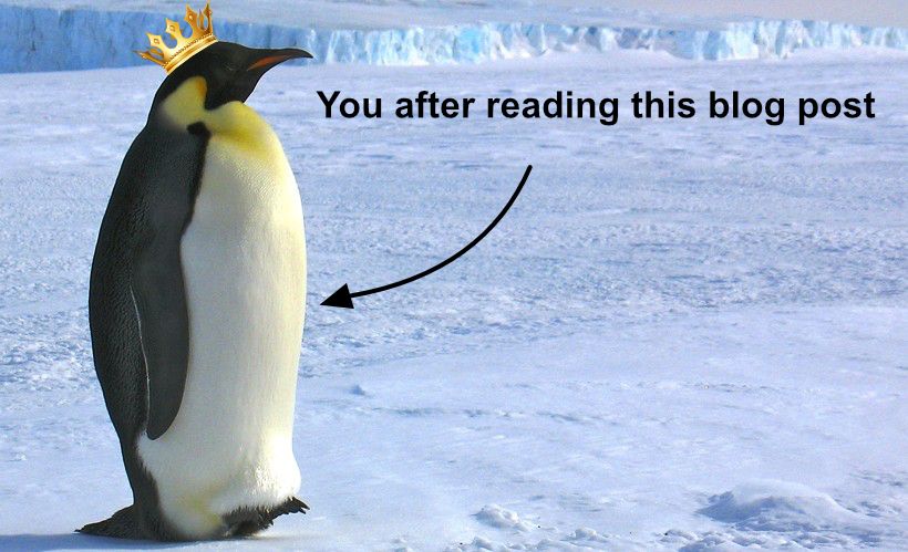 emperor penguin with crown