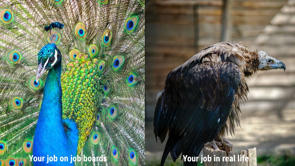 peacock and vulture mimicking driver turnover